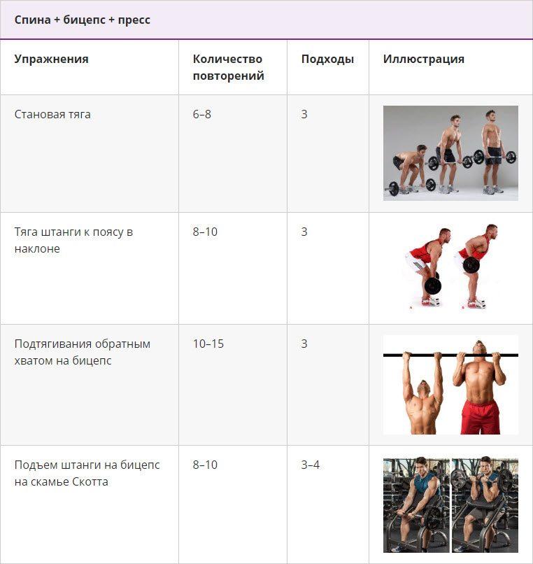 Программа тренировок для эктоморфа для набора мышечной массы