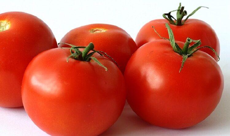 Cколько калорий в помидоре свежем?